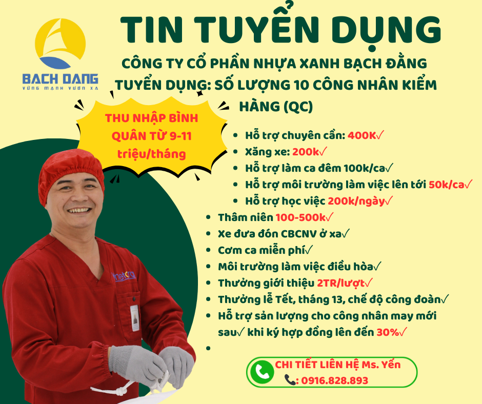 lĩnh vực hoạt động